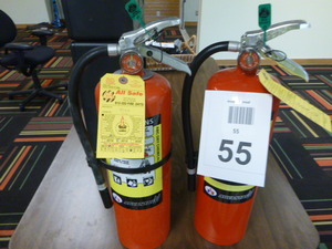 2 Advantage Fire Extinguishers
