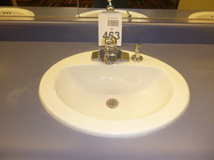 Oval Sink with Faucet