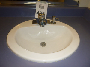 Oval Sink with Faucet