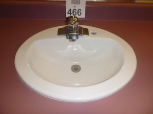 Oval Sink with Faucet