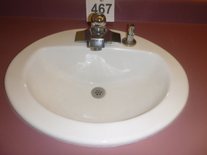 Oval Sink with Faucet