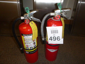 2 Fire Extinguishers