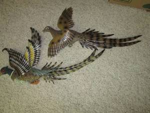 lot 34 image: (2) 27 Long Pheasants...