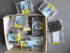 Large Lot of Nails See Photos...
