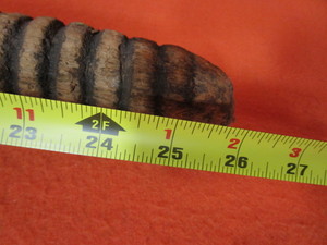 Large Screw from Wagon Jack