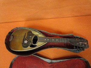 Mandolin & Leather Case