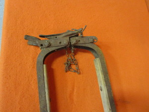 Milking Stanchion