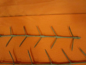 (14) 19 Sections of Corn Drying Hooks