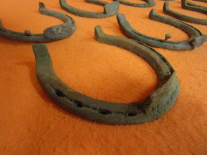 (8) Horseshoes