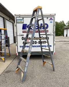 8 Foot Werner Step Ladder