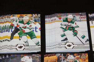 2019-20 Upper Deck Minnesota Wild Lot  48 Cards