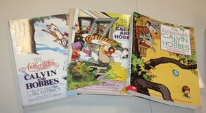 Calvin and Hobbes Book Collection Lot  10 Books