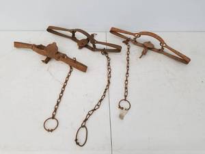 Three BearAnimal Traps