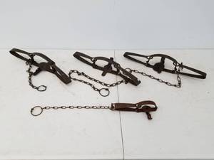 Four BearAnimal Traps