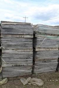Lot of (9 Pallets) Paver Bricks 7x5x2.5in.