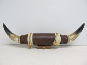 lot 148 image: Vintage Mounter Bull Horn Display