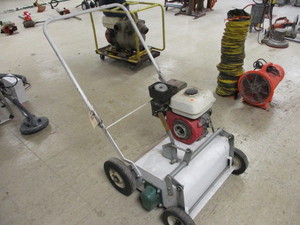 lot 30 image: Lawn Thatcher