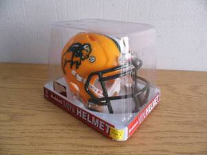 NDSU Bison Mini Helmet
