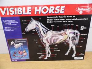 Visible Horse