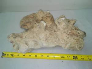 lot 308 image: Aquarium Live Rock