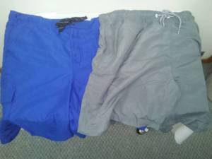 lot 349 image: New 2 Mens XL Swim trunks gray & blue.