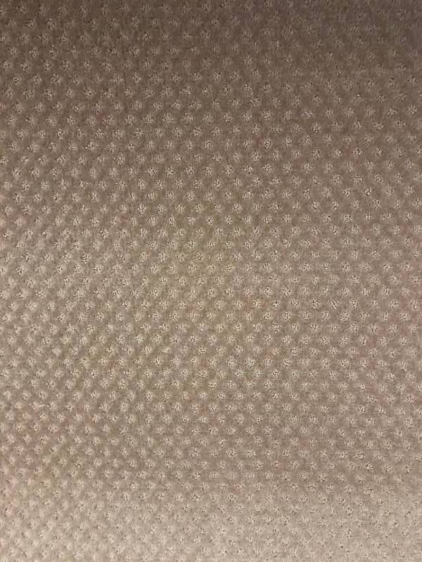 780 SQ FT Mohawk Everstrand Urban Design Cut Loop Carpet