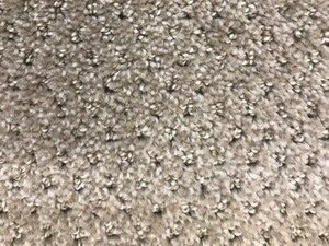9 x 12 Design Cut Loop Carpet Remnant