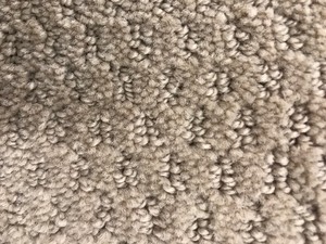 900 SQ FT High End Skyline Mushroom Carpet