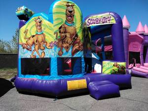 lot 18 image: 19 X 20 Scooby Doo 5 in 1 Wet or Dry Combo