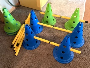 Dog Agility Hurdle ConePole Set and Fit Paws Peanut Shaped Stability Ball