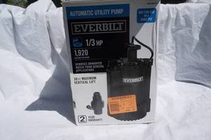 lot 22 image: Everbilt 13 hp Utility Pump