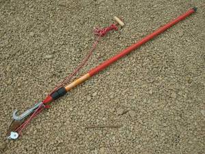 lot 38 image: Corona 10 Pruner Pole