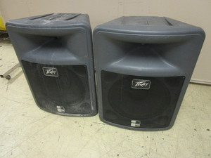 lot 841 image: PEAVEY PR-15 SPEAKERS