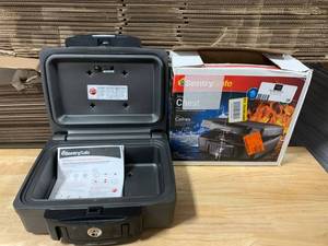 SENTRYSAFE 0.14 cu. ft. Security Safe with Digital Keypad