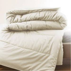 The Company Store Wrinkle-Free Creme Solid Cotton Sateen Twin Comforter, C1B2-T-CREME - NEW