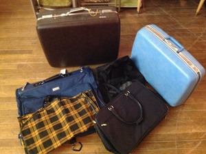 lot 101 image: Suitcases and Garment Bags