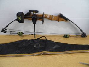 lot 51 image: Compound Bow - Gun Case