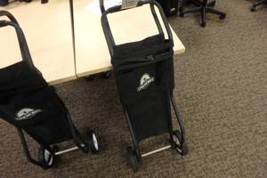 lot 110 image: Shiatsumassage table carts