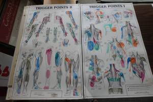 lot 391 image: Trigger point set
