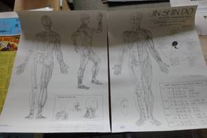 lot 386 image: Jin Shin Do set