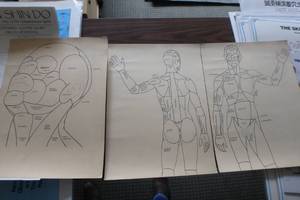 lot 385 image: Set of zone teaching charts