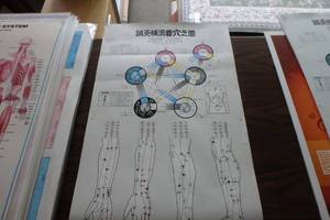 lot 373 image: Shohaku Honma Acupuncture