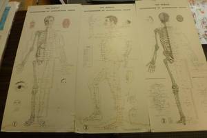 lot 399 image: The newest Illustrations of acupuncture points