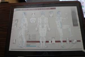 lot 403 image: Acupuncture chart