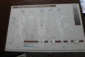 lot 407 image: Acupuncture chart