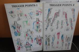 lot 413 image: Trigger Points