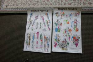 lot 426 image: Trigger Points