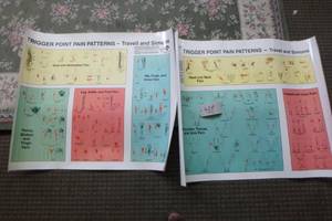 lot 428 image: Trigger Point pain patterns set