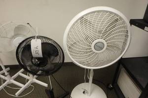 lot 438 image: (2) Fans