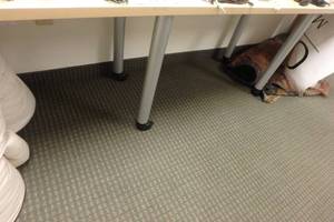 lot 533 image: DesQ Classroom table